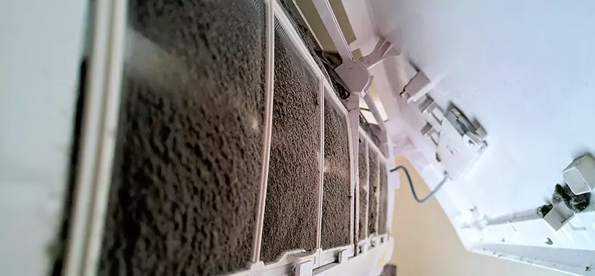 Preventive Air Duct Bacteria Removal in Poplar Bluff