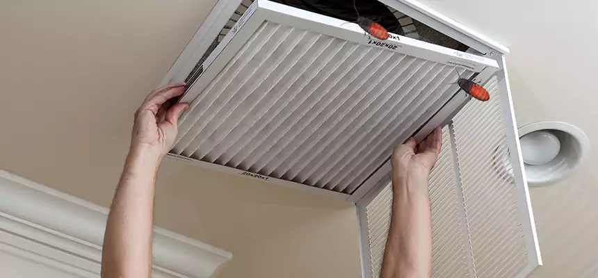 Preventive Cockroach-Proofing for Ducts in Poplar Bluff