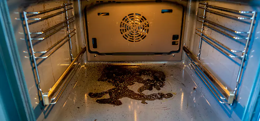 Our Dryer Vent Mold Cleaning Services in Poplar Bluff, MO