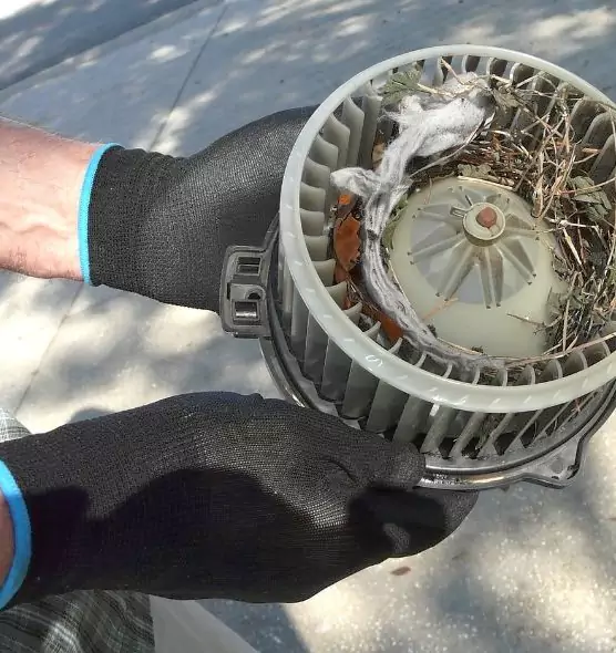 About Air Duct Rat Removal in Poplar Bluff, MO