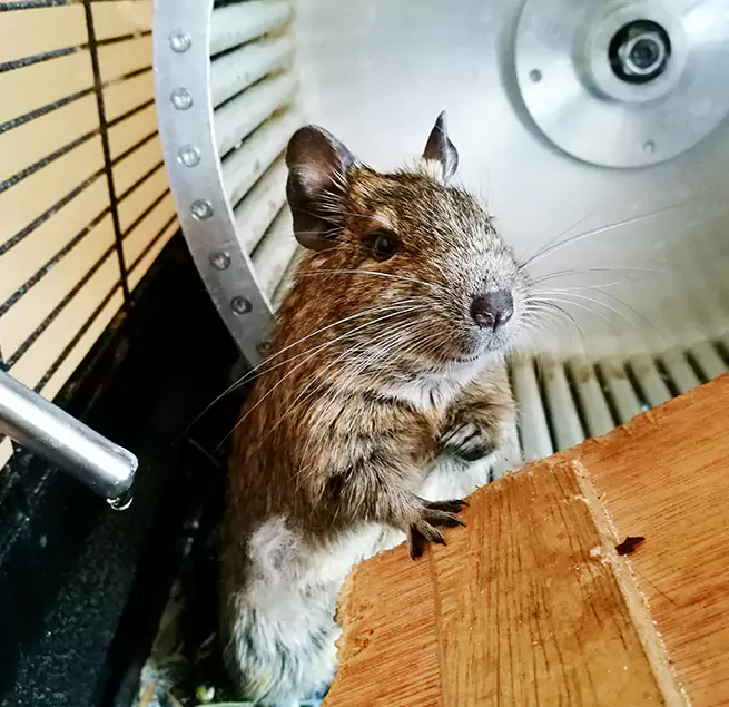 Why Homeowners & Businesses Trust Us Poplar Bluff, MO