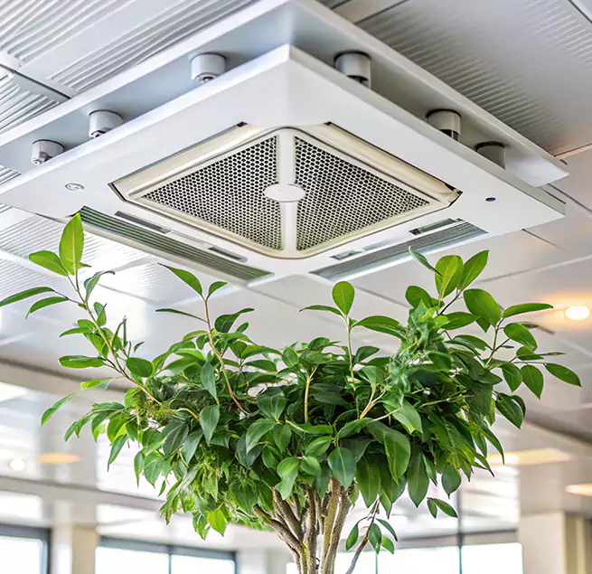 Why Homeowners & Businesses Trust Us in Poplar Bluff, MO?