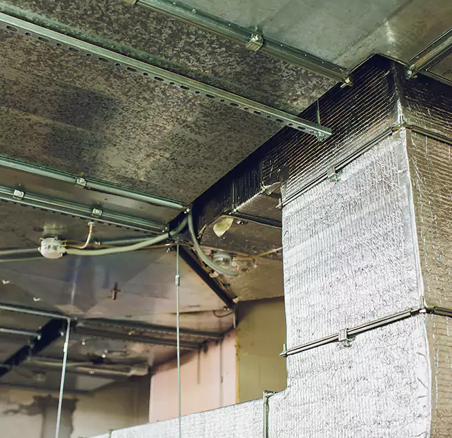 Why Homeowners & Businesses Trust Us in Poplar Bluff, MO?